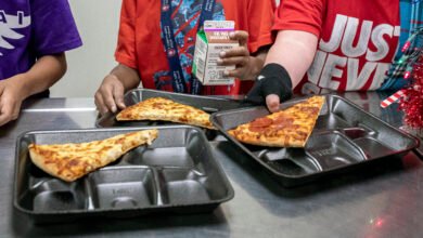 free summer meals