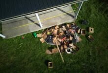 16 children found in squalor Ohio