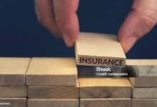 Why insurance is not a waste