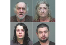 Six children went unseen for two years