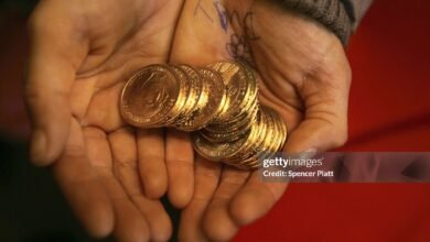 Maya's Magic Coin